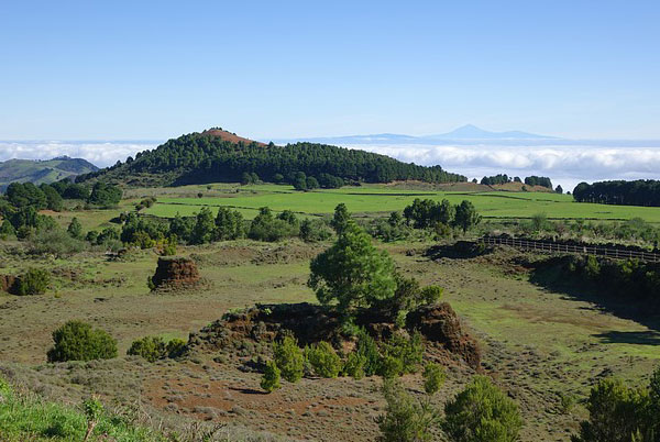 el hierro